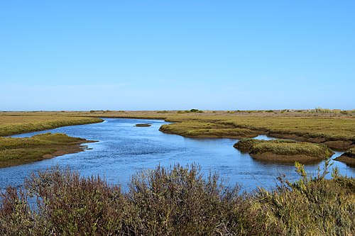Ria Formosa Natural Park